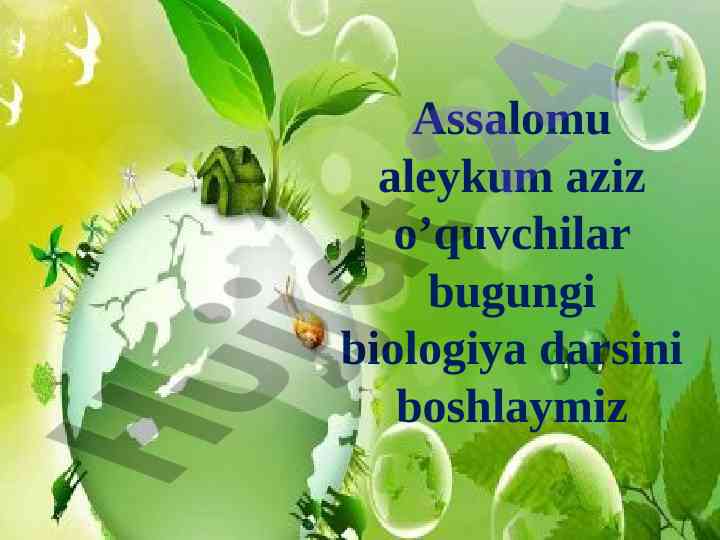 Biologiya darsida zog‘ora baliqning tashqi tuzilishi