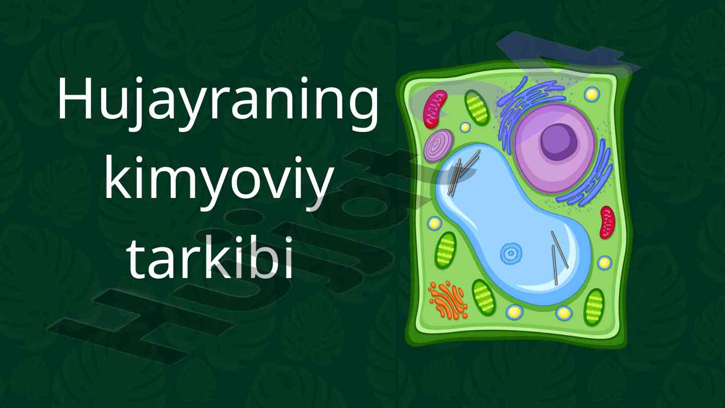 Hujayraning kimyoviy tarkibi va ahamiyati