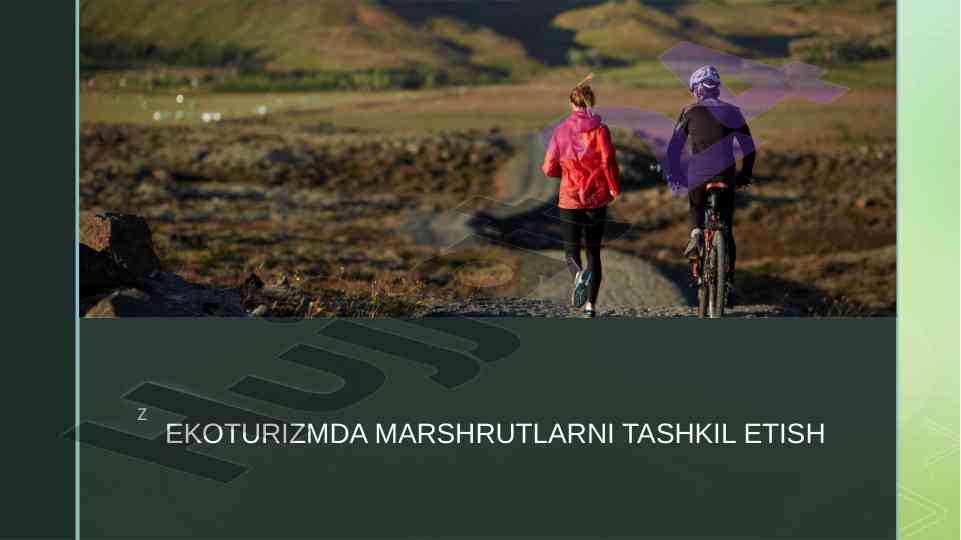 Ekoturizmda marshrutlarni tashkil etish muhim asoslari