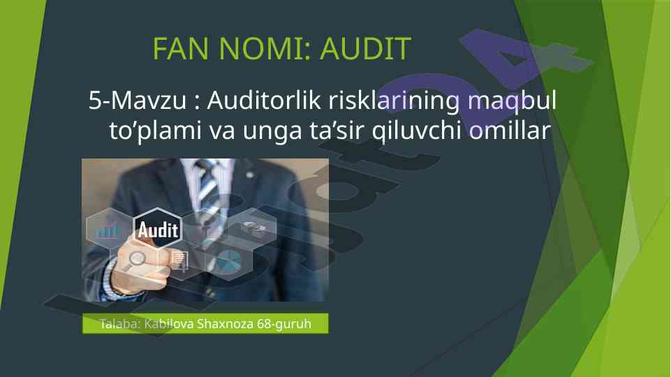 Audit risklari va ta'sir qiluvchi omillar