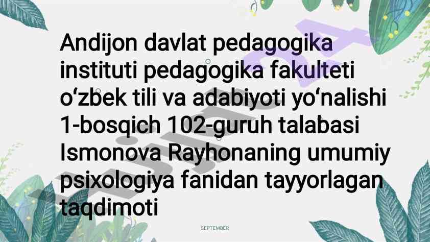 O‘smirlik davri va uning xususiyatlari