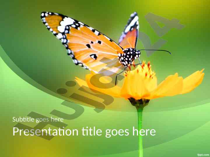 Effective presentation techniques using engaging backgrounds