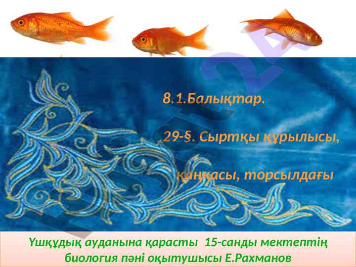 Baliqtardyn syrtqy qurylysy qankasy