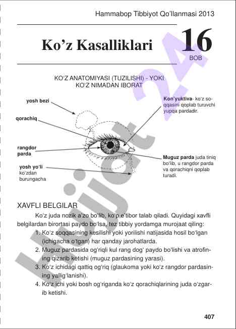 Ko‘z anatomiyasi va xavfli belgilar haqida qo’llanma
