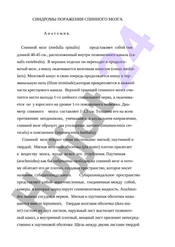 Sindromy porazheniya spinnogo mozga anatomiya