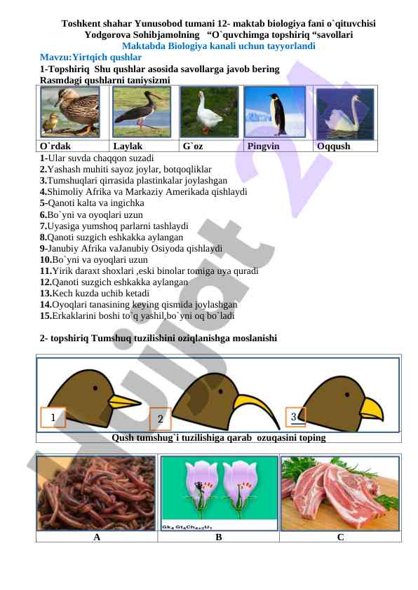 Yirtqich qushlar haqida o‘quv topsiriqlari