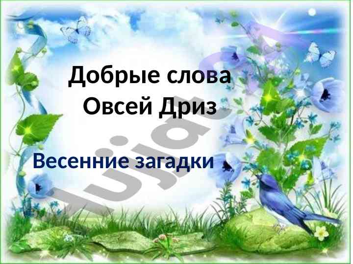 Весенние загадки подснежник одуванчик тюльпан мак
