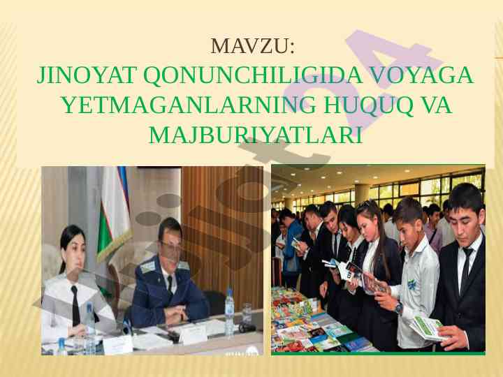 Voyaga yetmaganlarning jinoyat qonunchiligi huquqlari