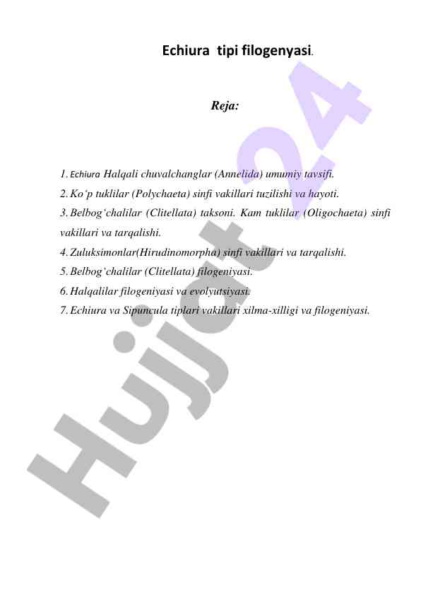 Echiura tipi filogenyasi va evolyutsiyasi