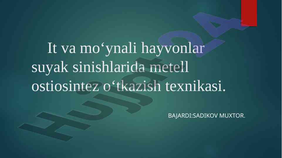 Itlar va mo‘ynali hayvonlar suyak sinishlari