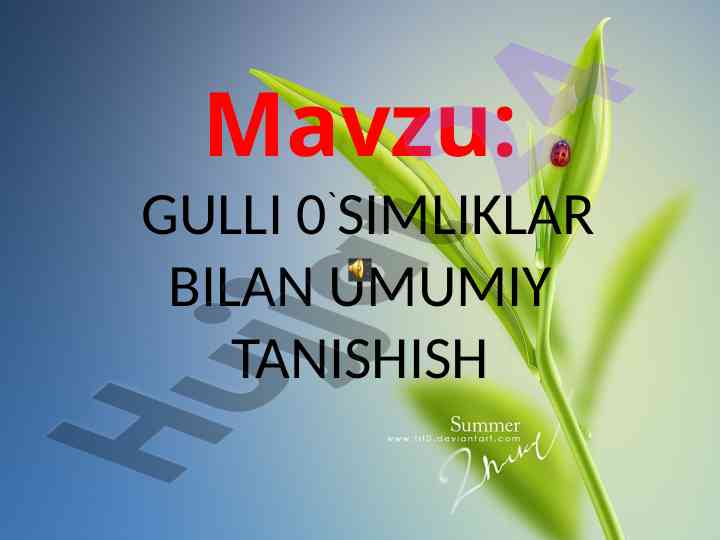 Gulli o`simliklar bilan umumiy tanishtirish