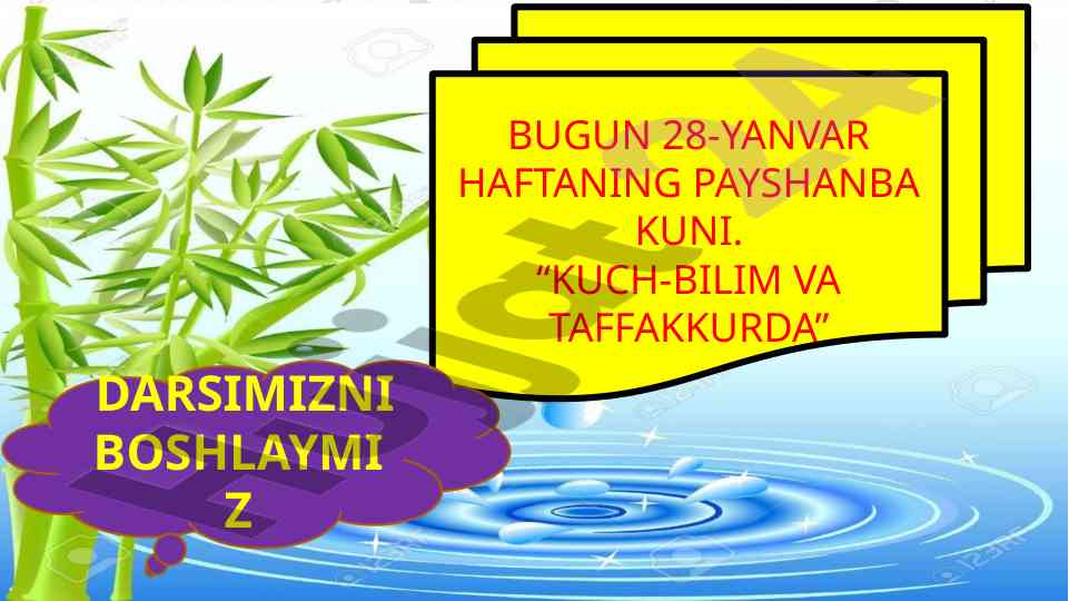 Baliqlarning ichki tuzilishi tahlili