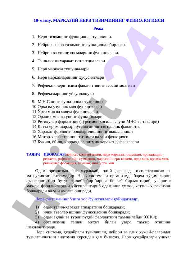 Markaziy nerv tizimining fiziologiyasi