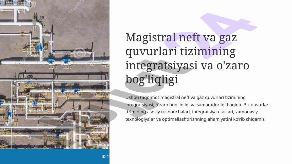 Integratsiya va o'zaro bog'liqlik tizimlari taqdimoti