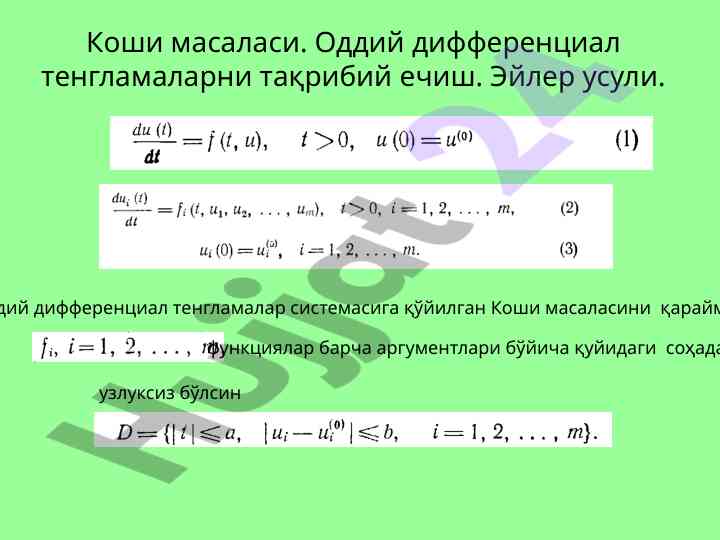 Koshi masalasi va eylers usuli tahlili