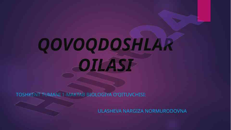 Qovoqdoshlar oilasi haqida dars ishlanmasi