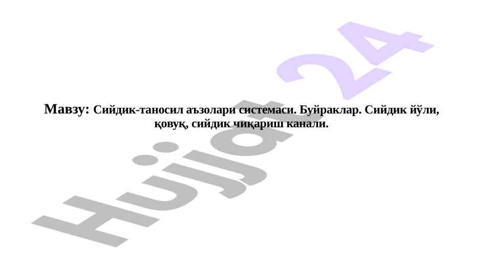 Сийдик-таносил аъзолари тизими тўғрисида идора