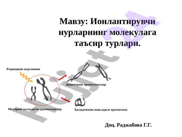 Ionlanitiruvchi nurlarning molekulaga ta'sir turlari