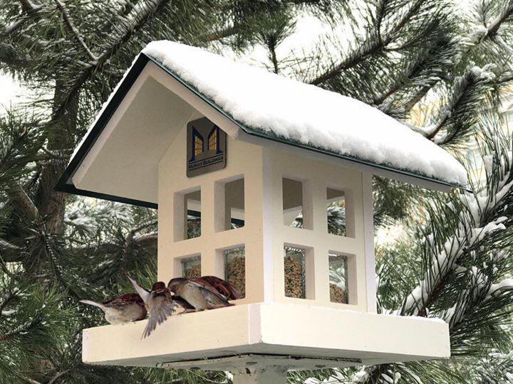 Rivnedagi etuk fohishalar